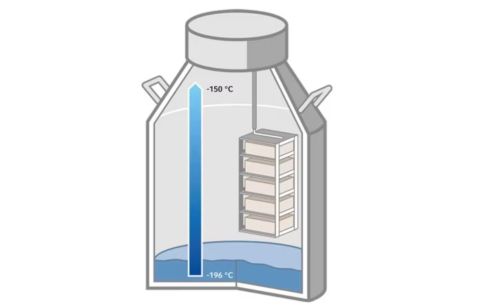 氣相儲存方式